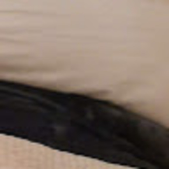 Meet your Posher, Lilly - Picture 1 of 1